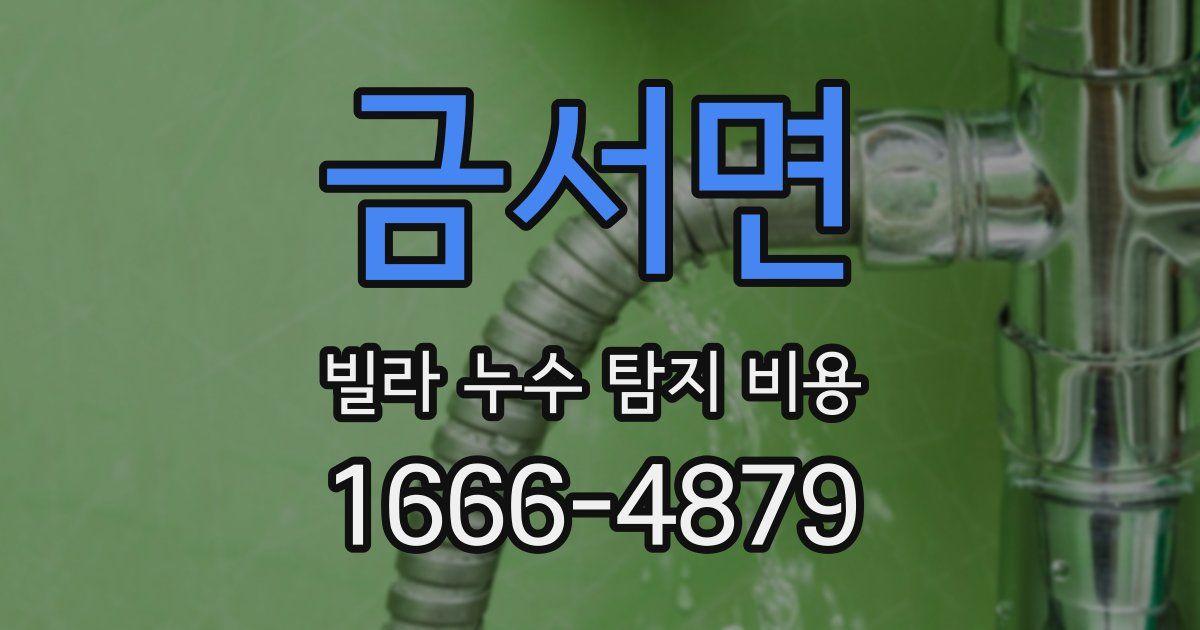 금서면 빌라 누수 탐지 비용