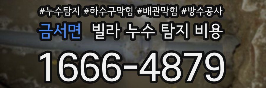 금서면 빌라 누수 탐지 비용
