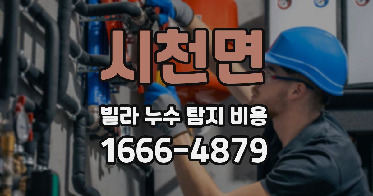 시천면 빌라 누수 탐지 비용