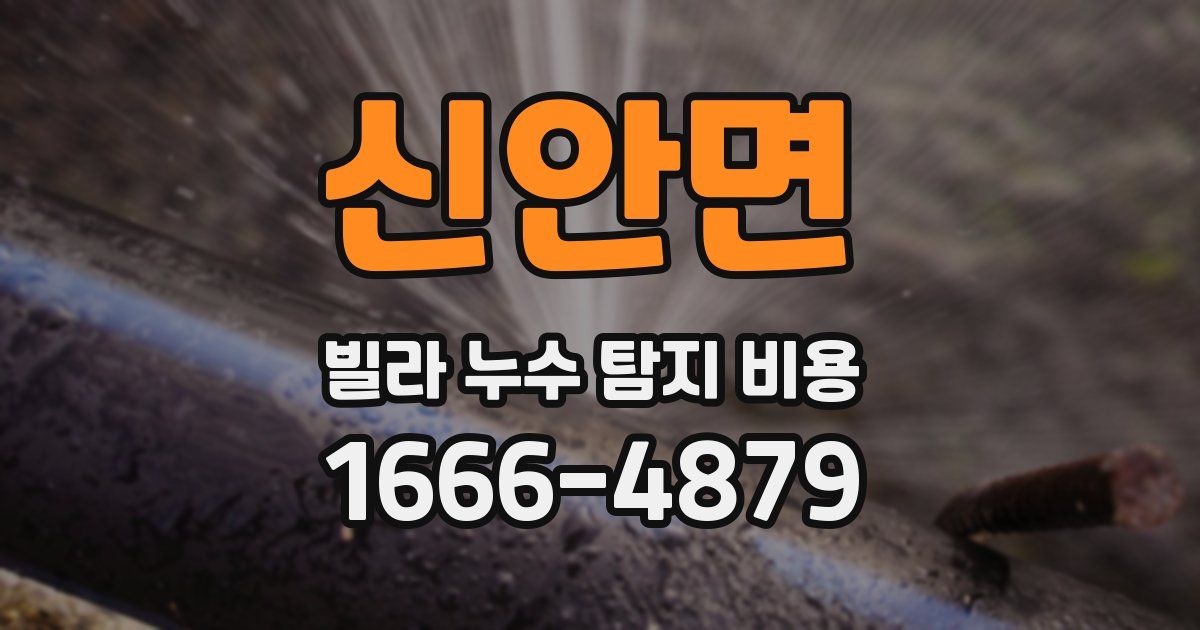 신안면 빌라 누수 탐지 비용
