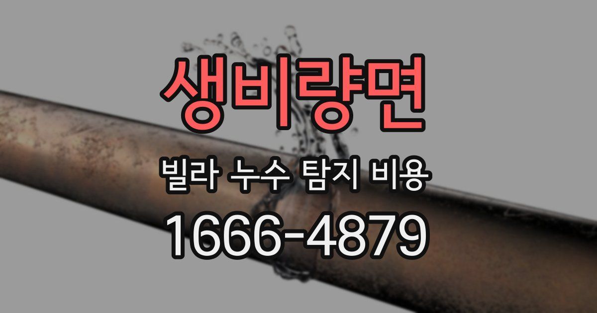 생비량면 빌라 누수 탐지 비용