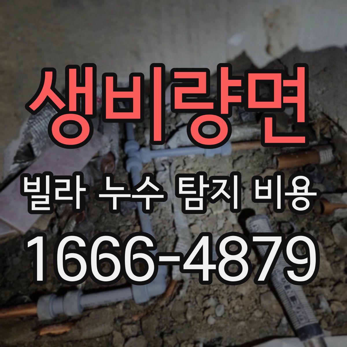 생비량면 빌라 누수 탐지 비용