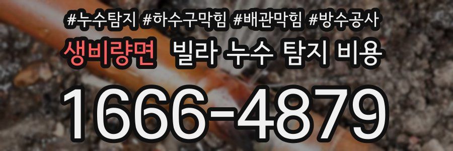 생비량면 빌라 누수 탐지 비용