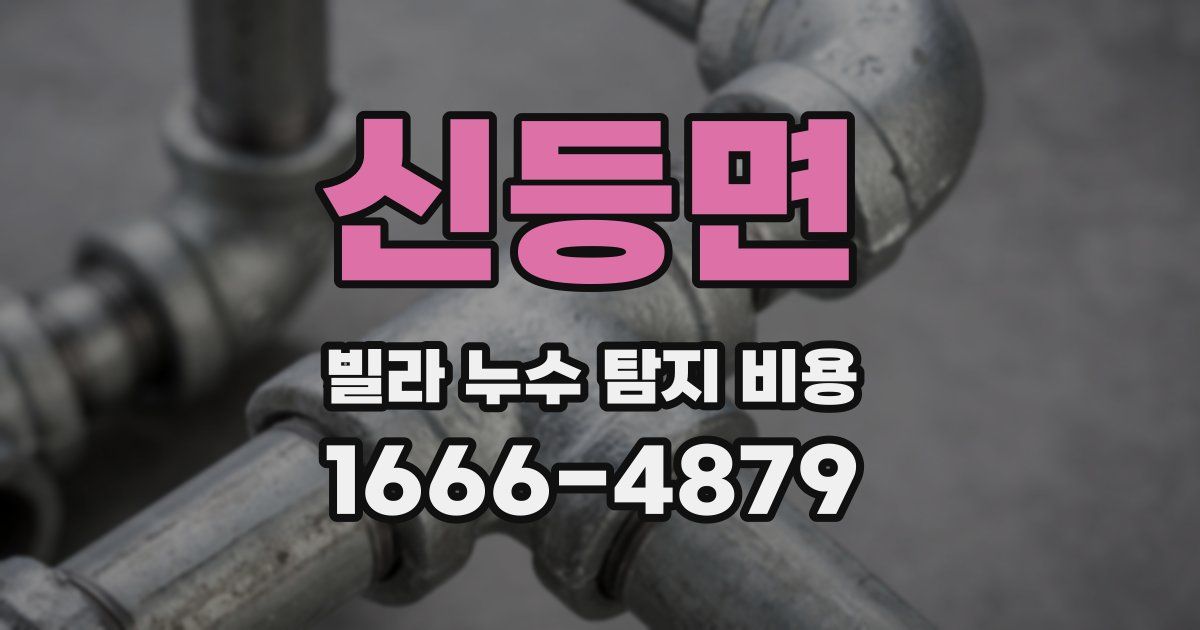 신등면 빌라 누수 탐지 비용