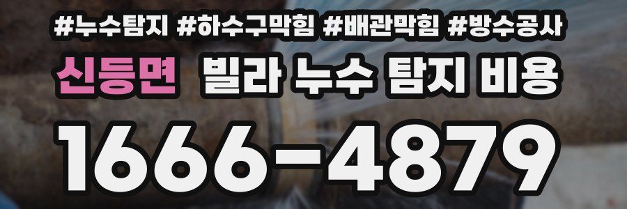 신등면 빌라 누수 탐지 비용
