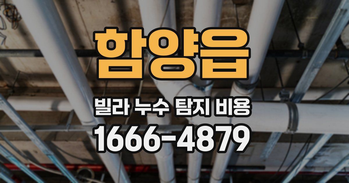 함양읍 빌라 누수 탐지 비용