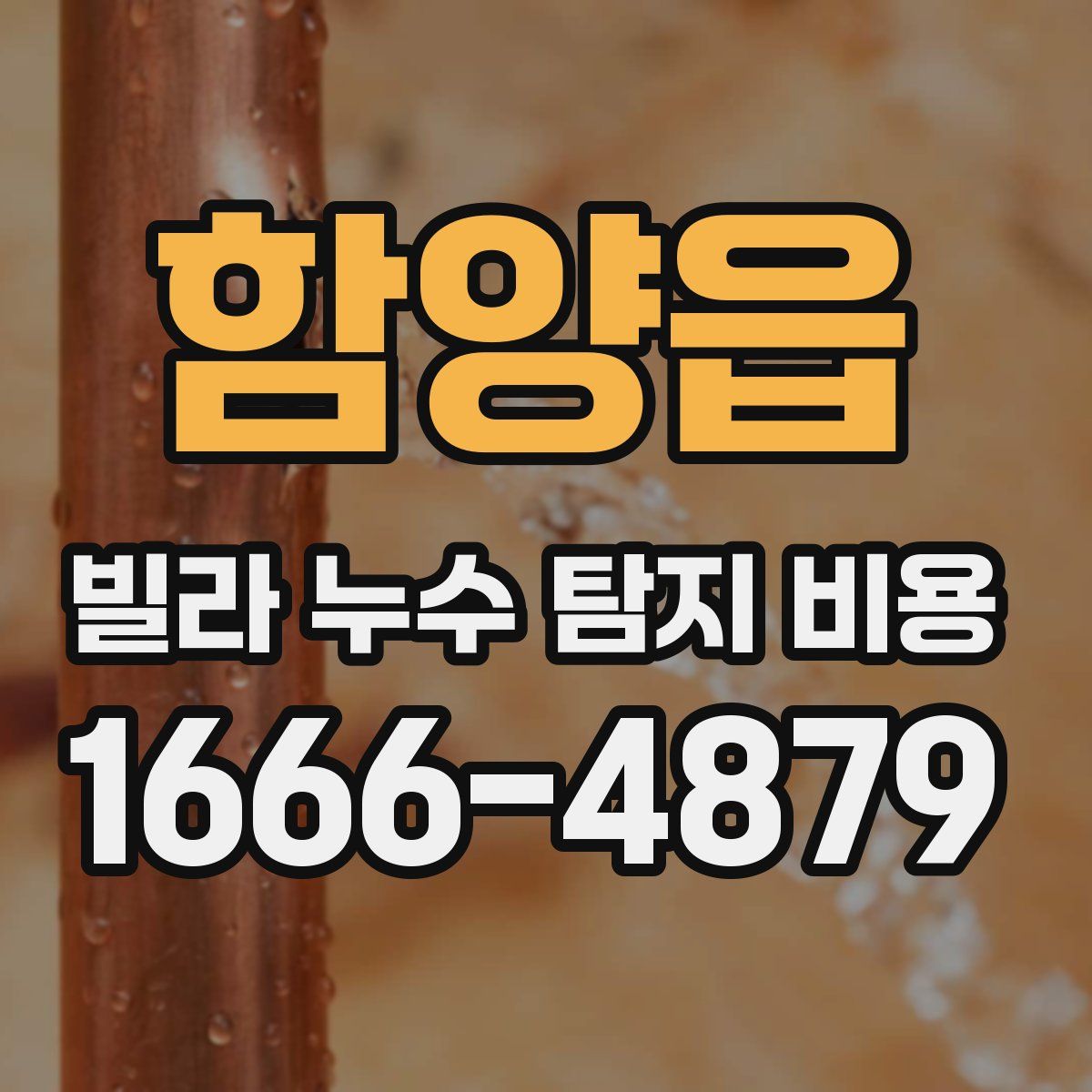 함양읍 빌라 누수 탐지 비용