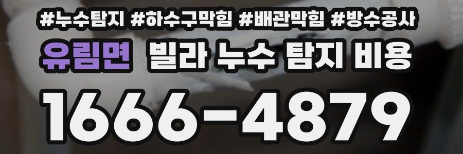 유림면 빌라 누수 탐지 비용