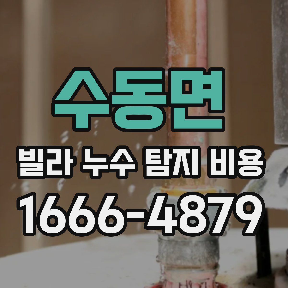 수동면 빌라 누수 탐지 비용
