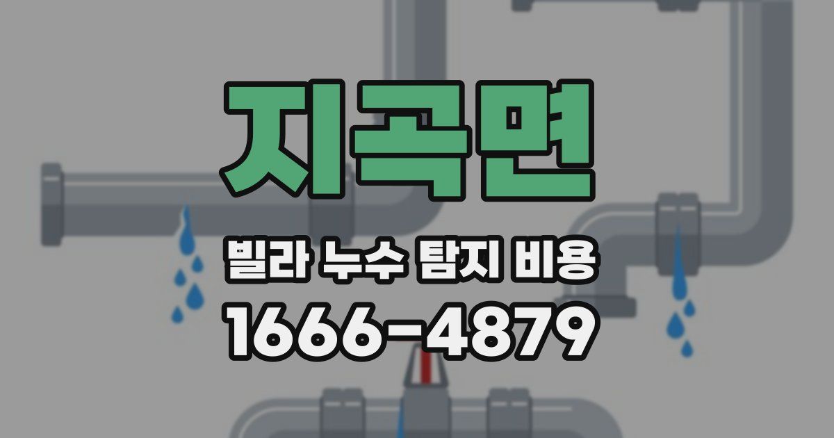 지곡면 빌라 누수 탐지 비용