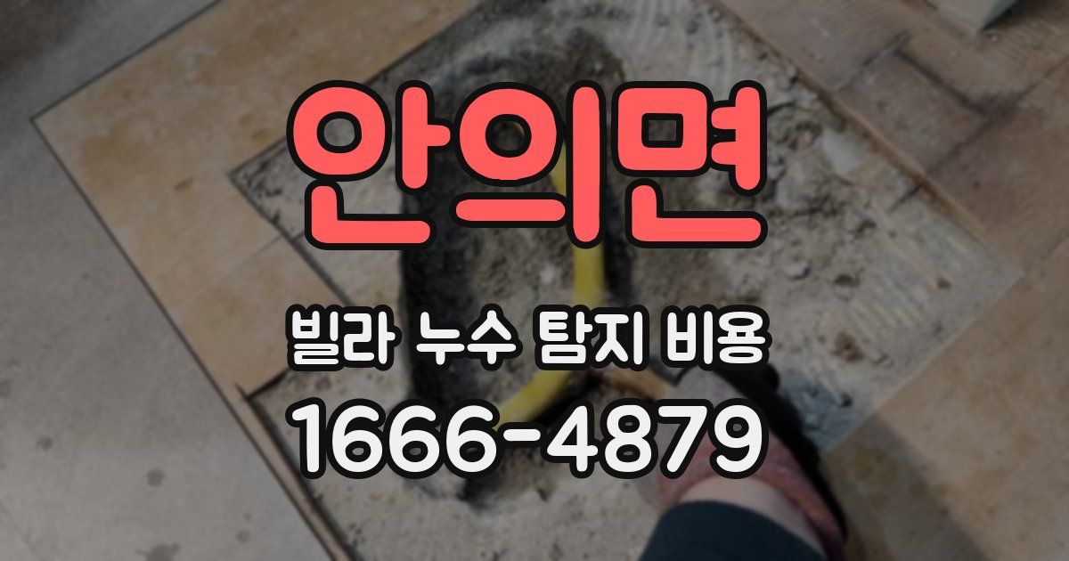 안의면 빌라 누수 탐지 비용