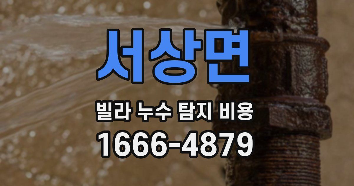 서상면 빌라 누수 탐지 비용