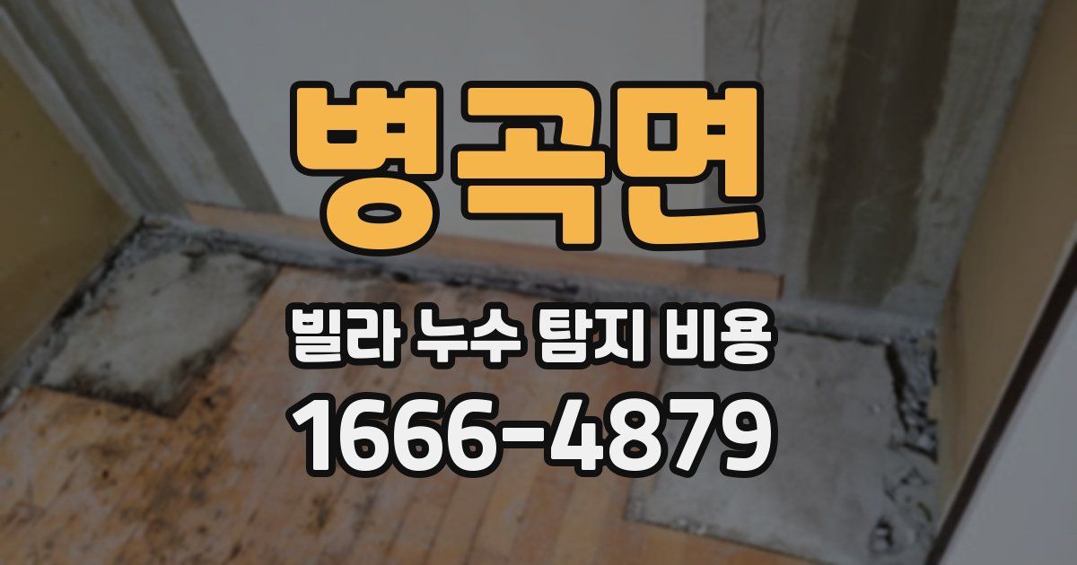 병곡면 빌라 누수 탐지 비용