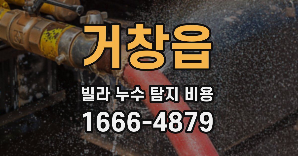 거창읍 빌라 누수 탐지 비용