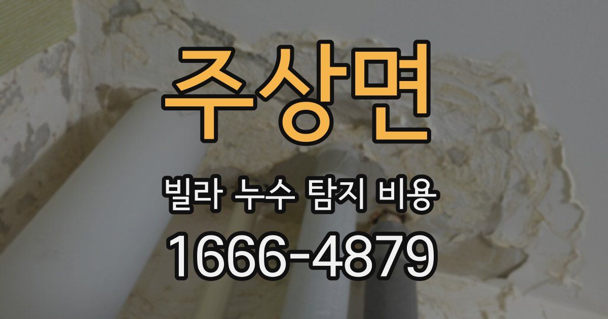 주상면 빌라 누수 탐지 비용