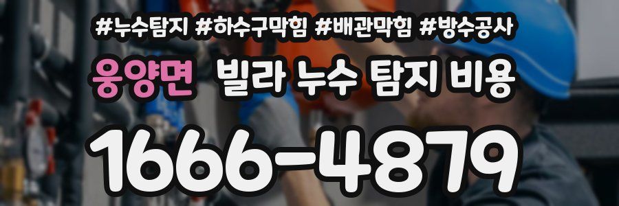 웅양면 빌라 누수 탐지 비용