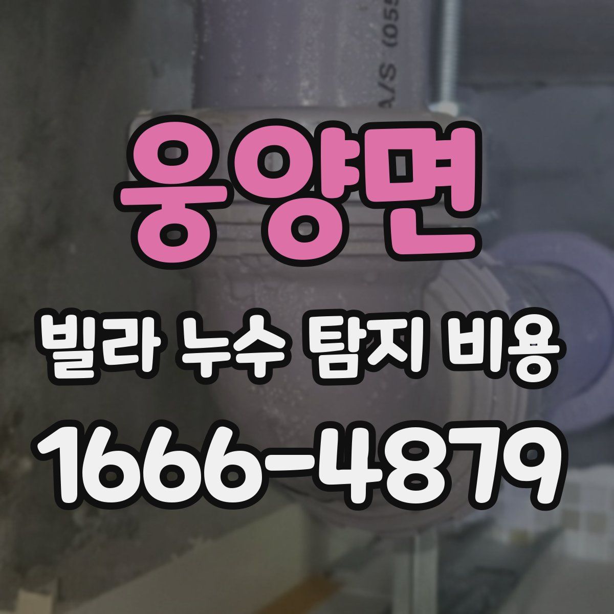 웅양면 빌라 누수 탐지 비용