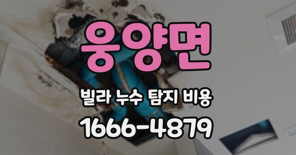 웅양면 빌라 누수 탐지 비용