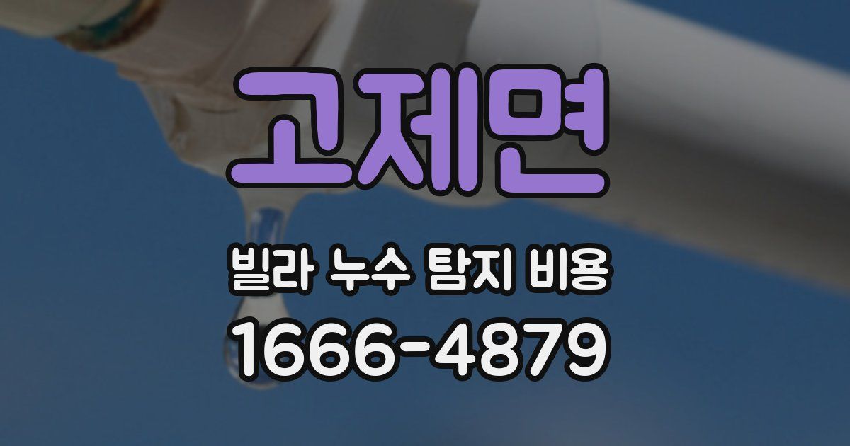 고제면 빌라 누수 탐지 비용