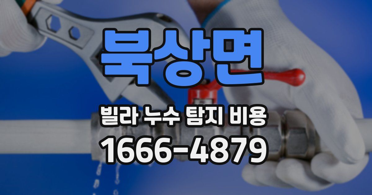 북상면 빌라 누수 탐지 비용