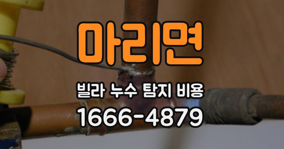 마리면 빌라 누수 탐지 비용