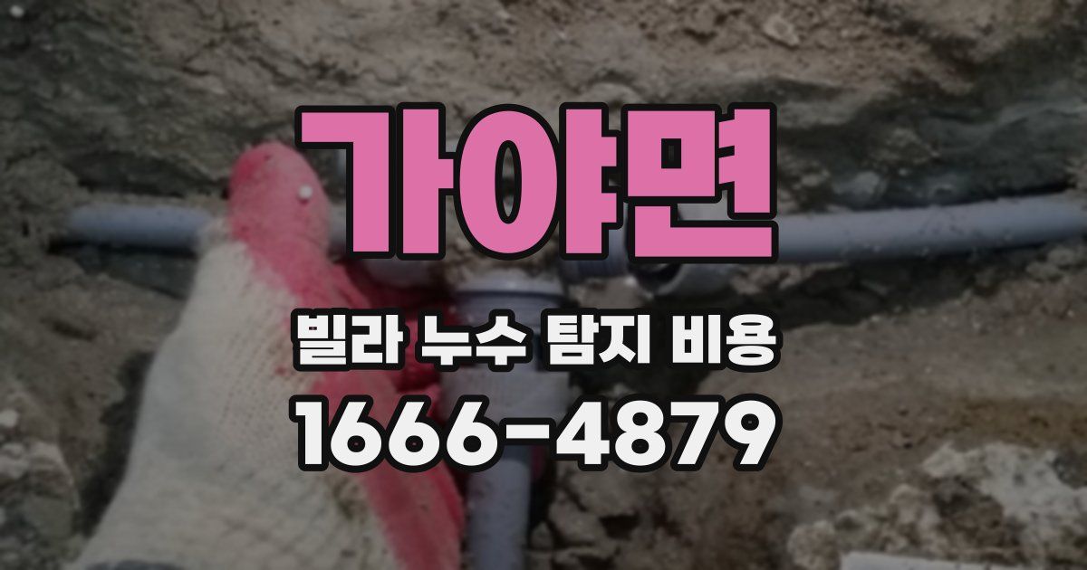 가야면 빌라 누수 탐지 비용