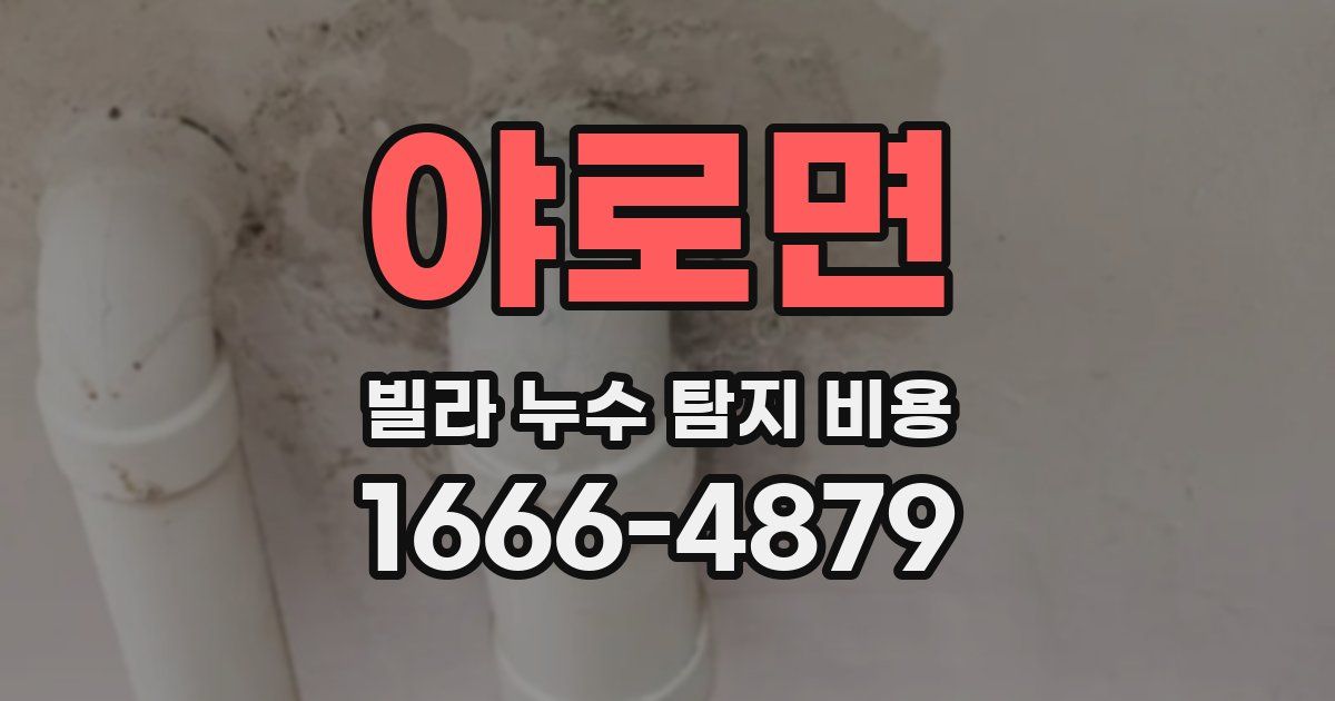 야로면 빌라 누수 탐지 비용