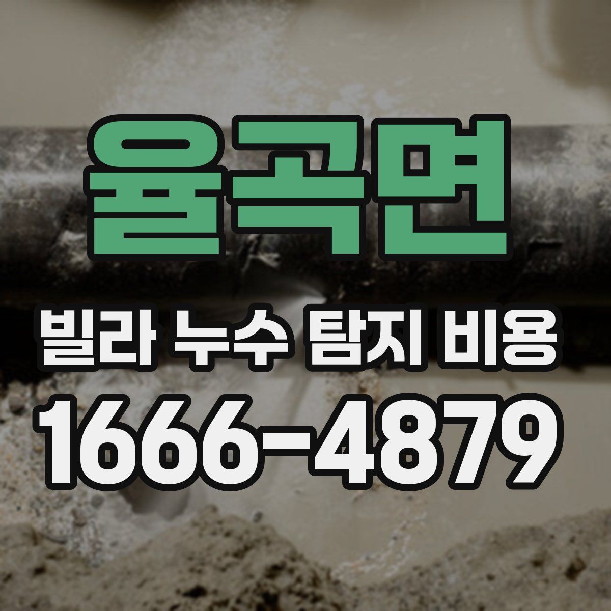 율곡면 빌라 누수 탐지 비용