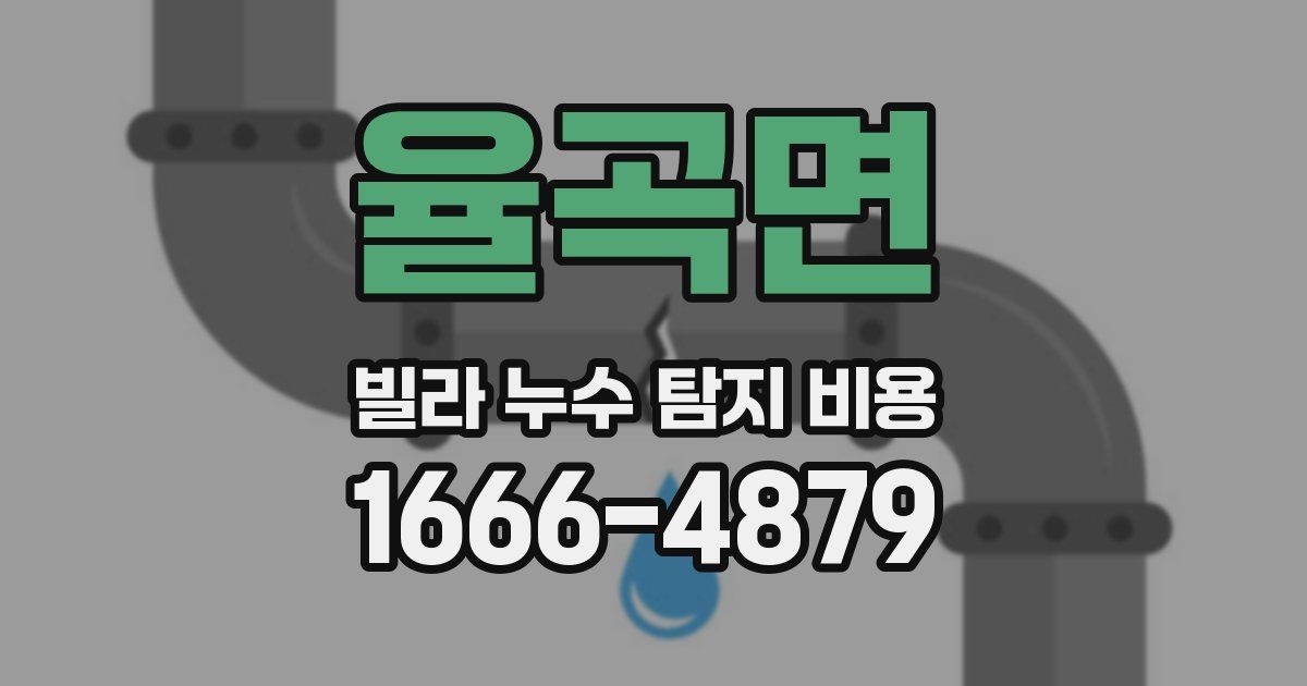 율곡면 빌라 누수 탐지 비용