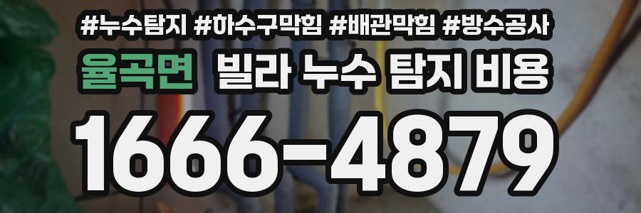 율곡면 빌라 누수 탐지 비용