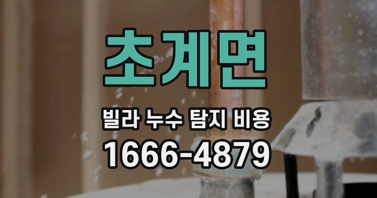 초계면 빌라 누수 탐지 비용