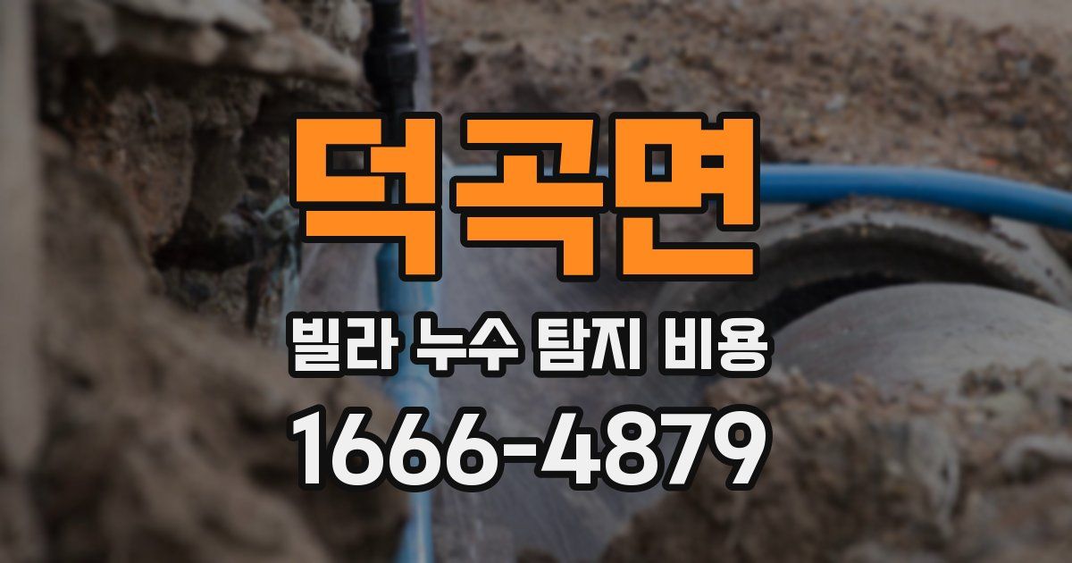덕곡면 빌라 누수 탐지 비용