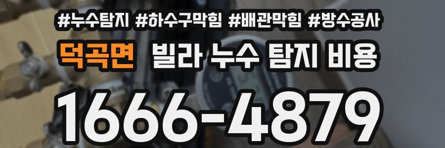 덕곡면 빌라 누수 탐지 비용