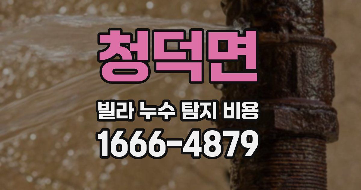 청덕면 빌라 누수 탐지 비용