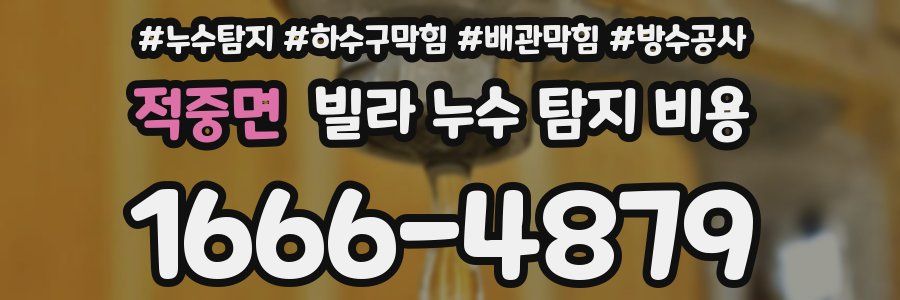 적중면 빌라 누수 탐지 비용