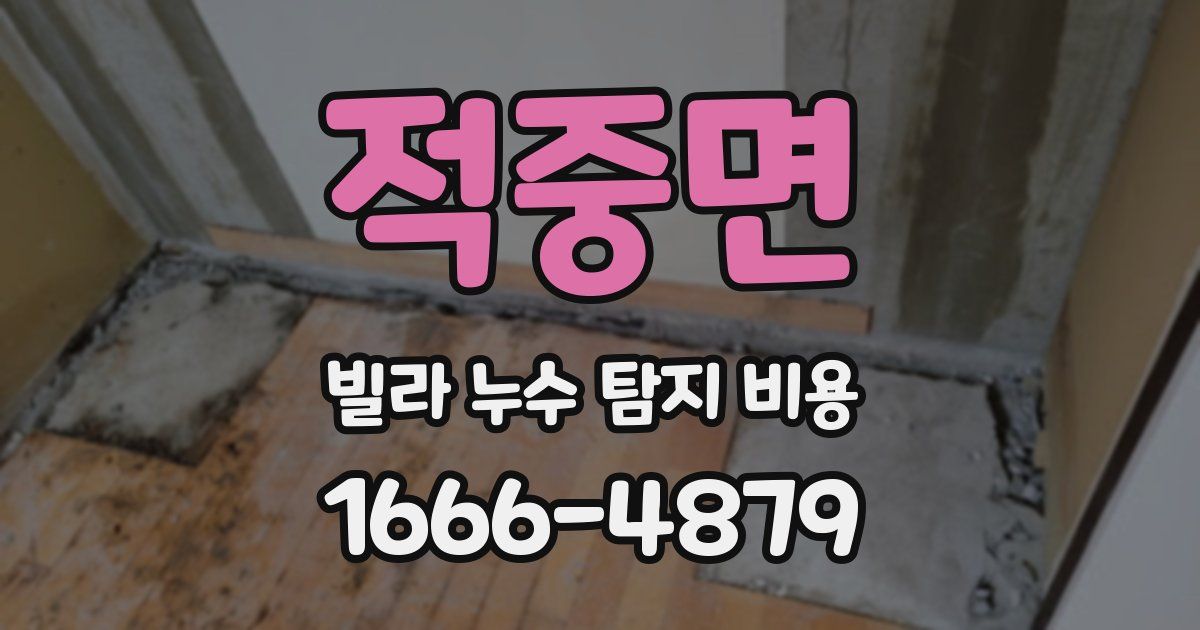적중면 빌라 누수 탐지 비용
