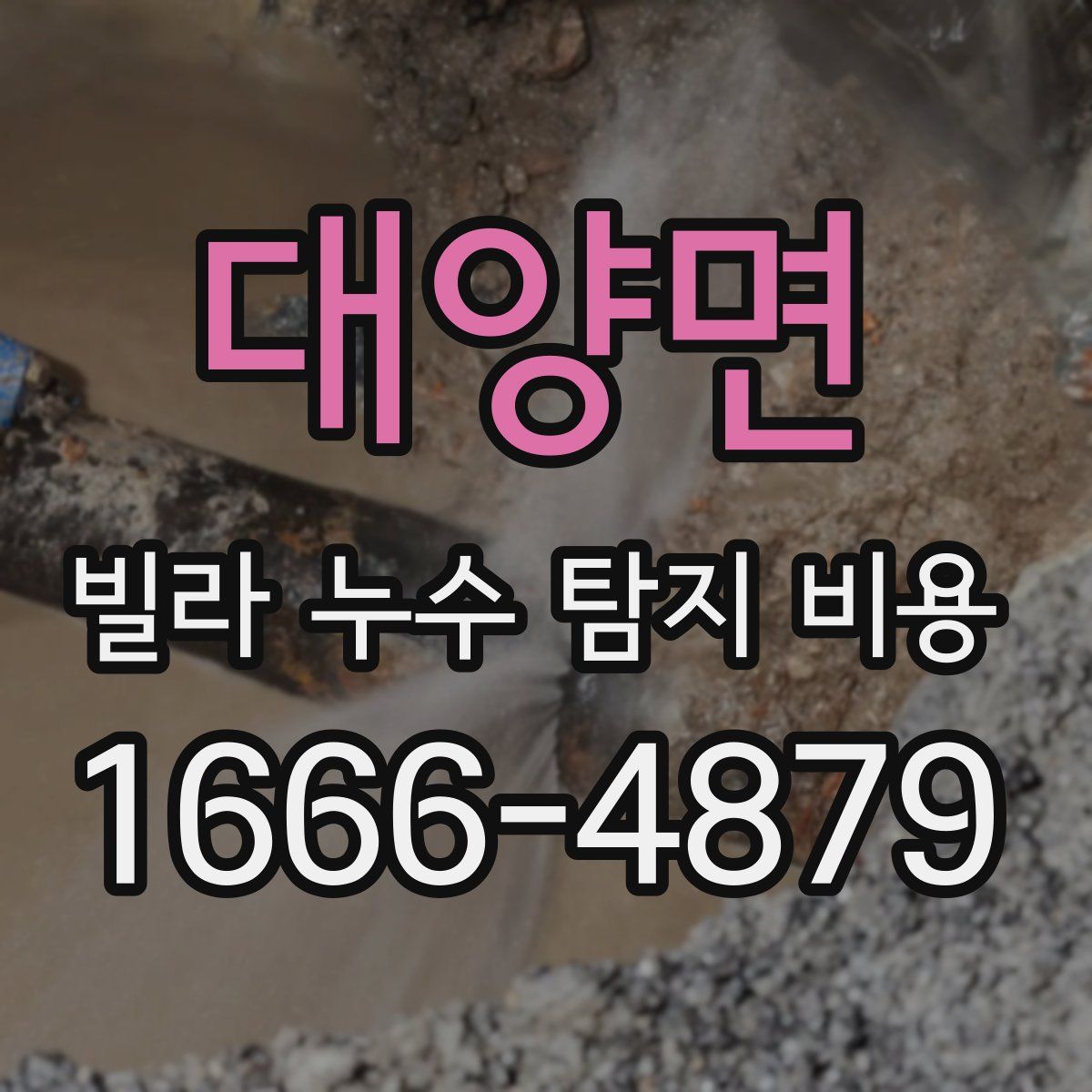 대양면 빌라 누수 탐지 비용