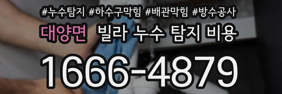 대양면 빌라 누수 탐지 비용