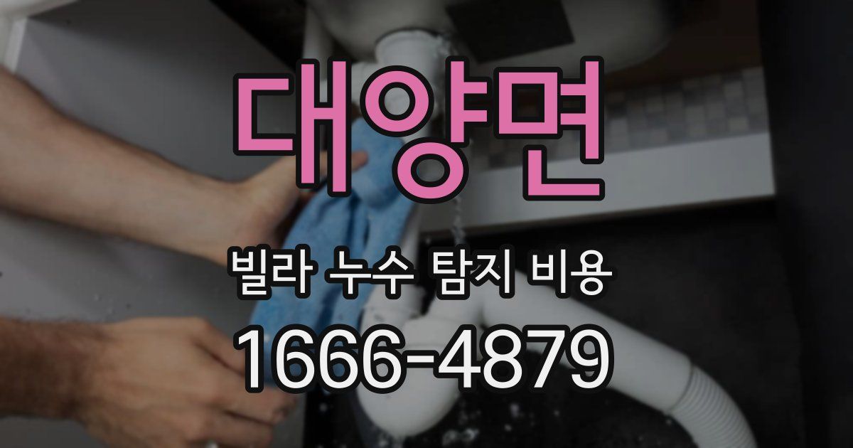 대양면 빌라 누수 탐지 비용