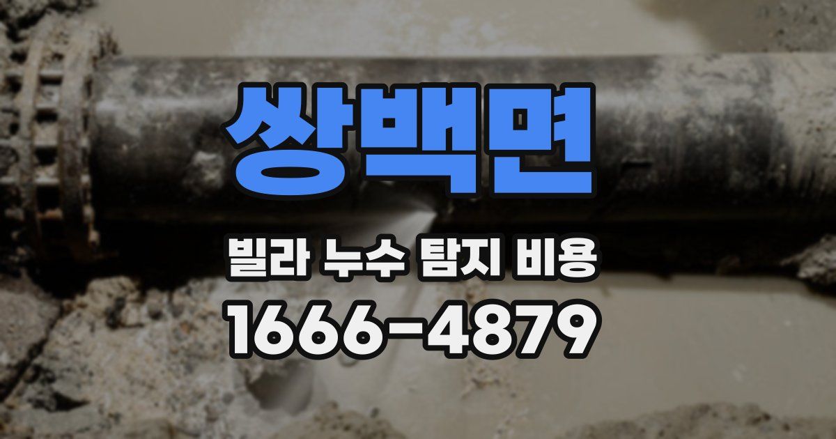 쌍백면 빌라 누수 탐지 비용
