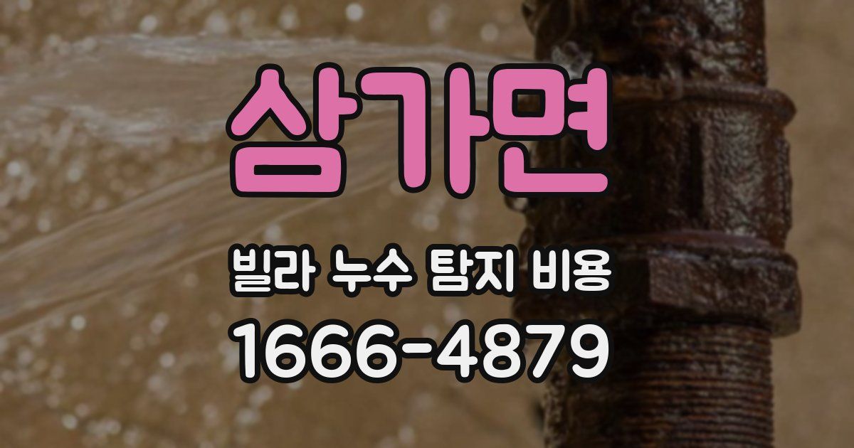 삼가면 빌라 누수 탐지 비용
