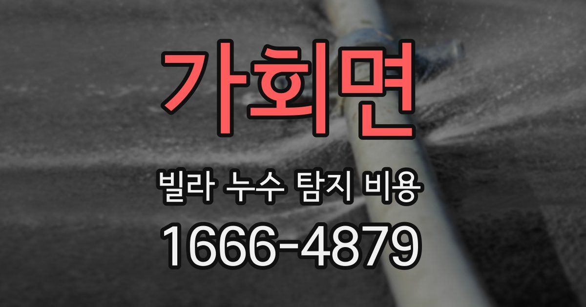가회면 빌라 누수 탐지 비용