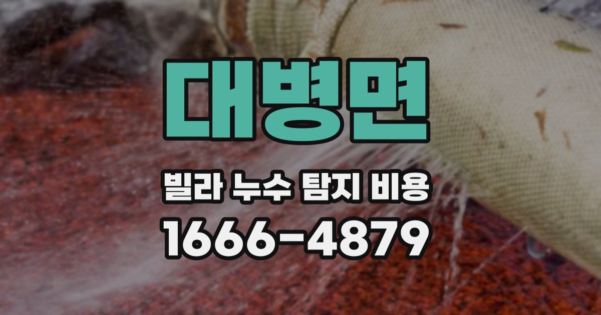 대병면 빌라 누수 탐지 비용