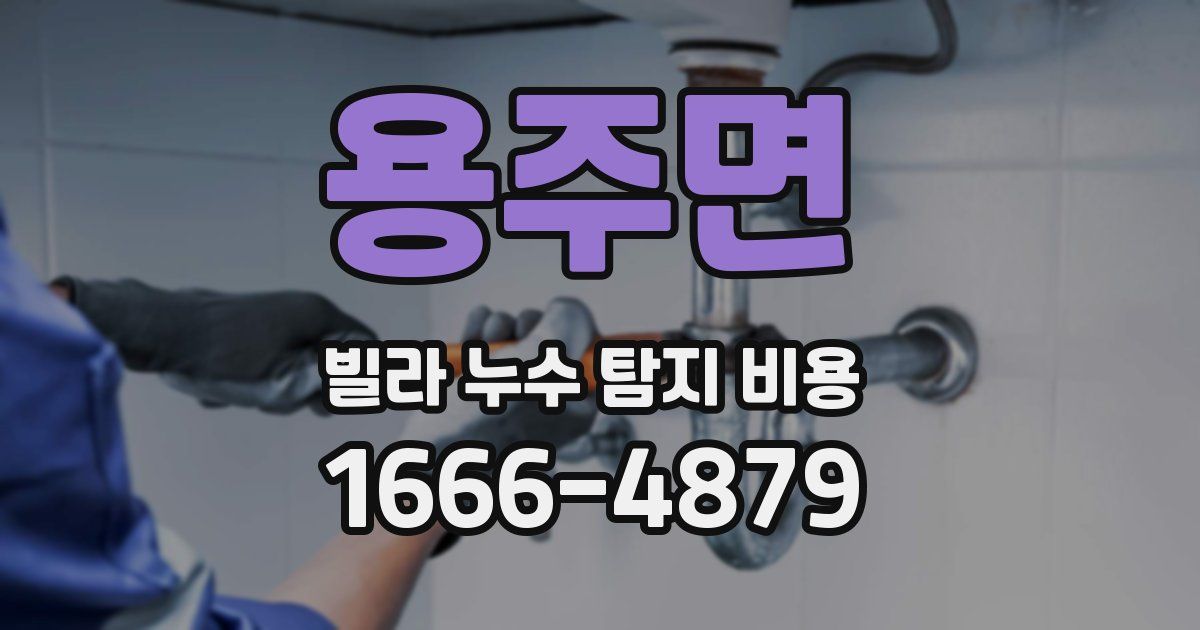 용주면 빌라 누수 탐지 비용
