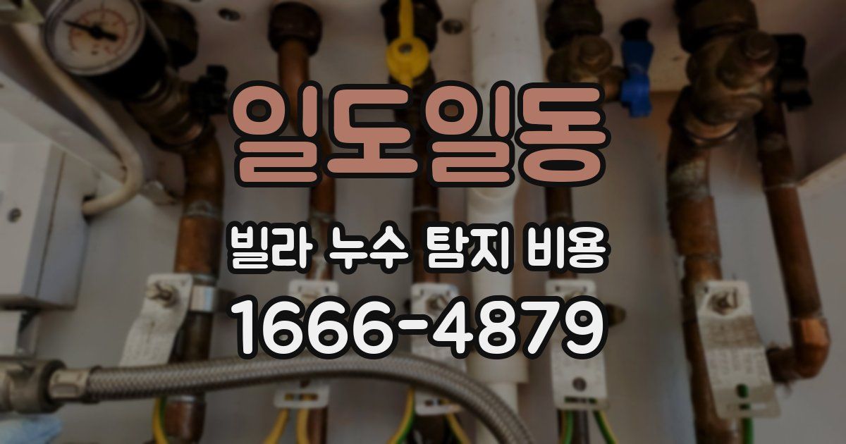 일도일동 빌라 누수 탐지 비용