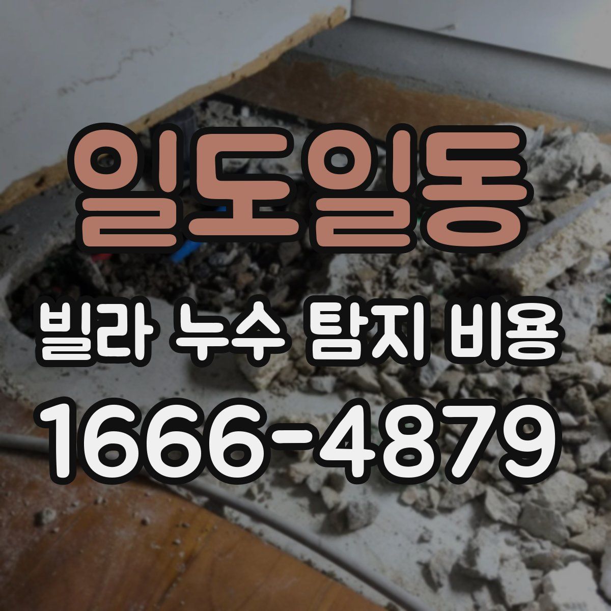 일도일동 빌라 누수 탐지 비용