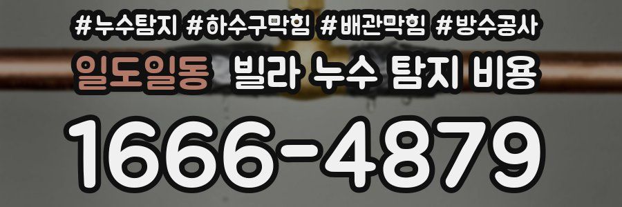 일도일동 빌라 누수 탐지 비용