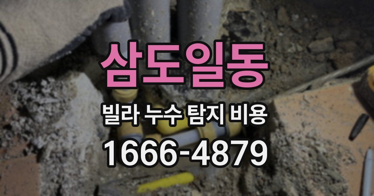 삼도일동 빌라 누수 탐지 비용