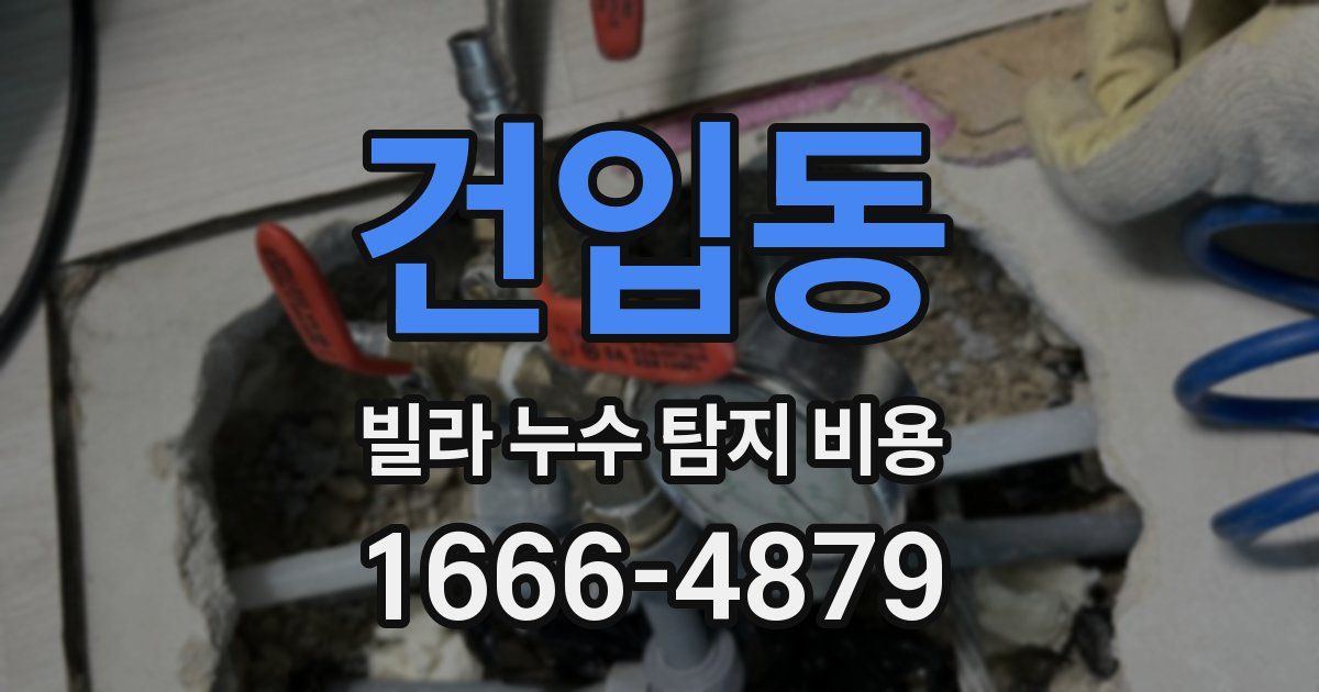 건입동 빌라 누수 탐지 비용