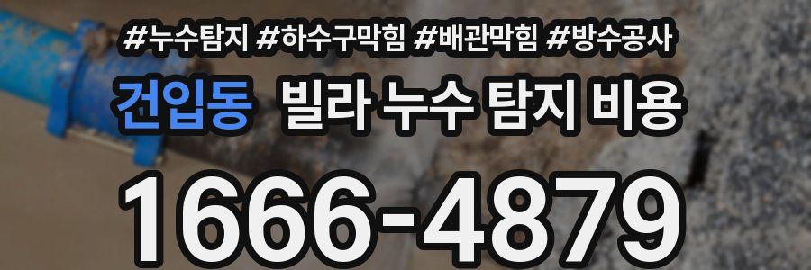 건입동 빌라 누수 탐지 비용